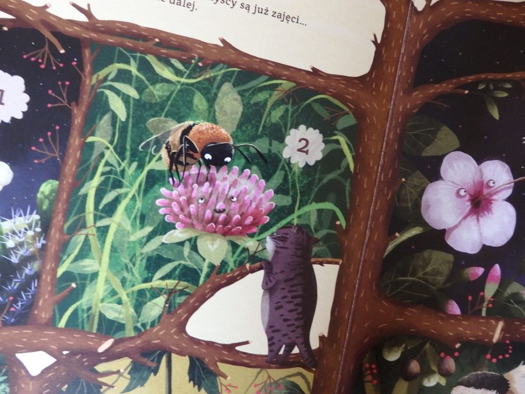 Niezwykłe przyjaźnie w świecie roślin i zwierząt. Emilia Dziubak. Nasza Księgarnia