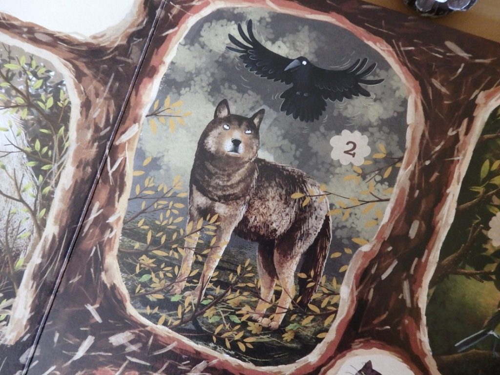 Niezwykłe przyjaźnie w świecie roślin i zwierząt. Emilia Dziubak. Nasza Księgarnia