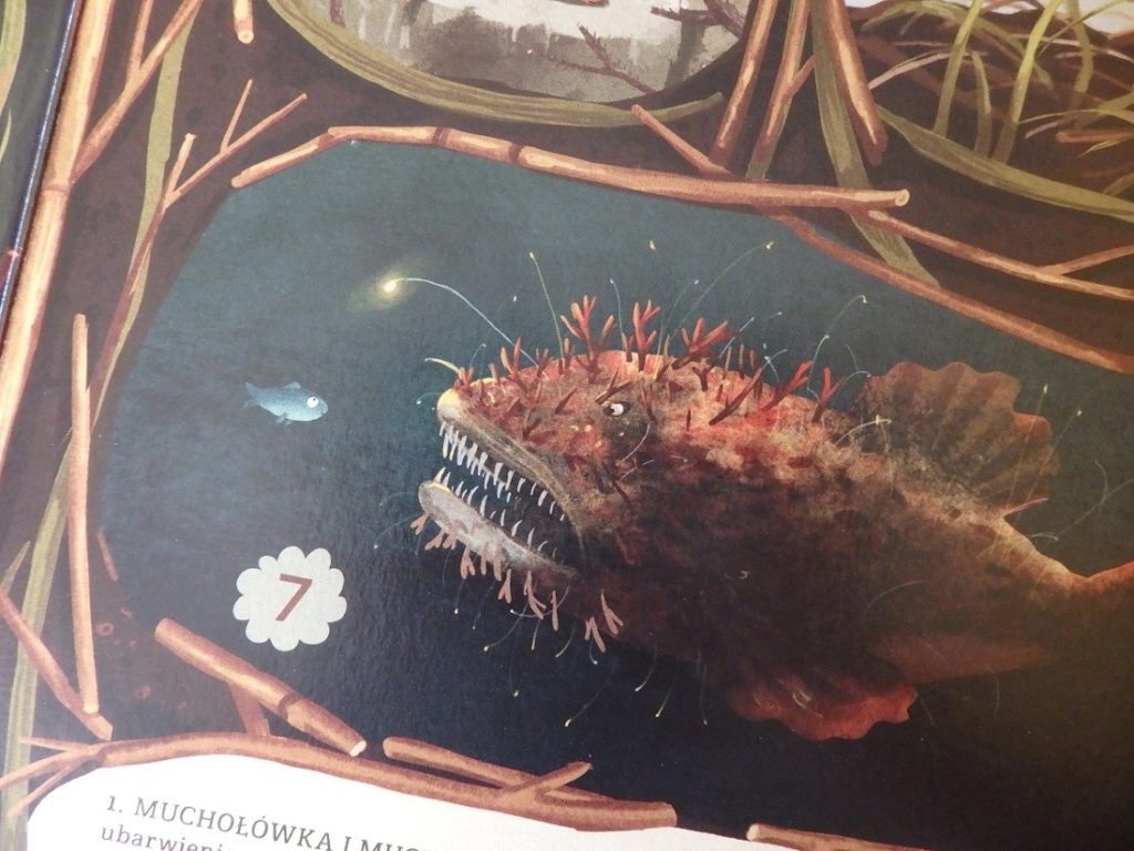 Niezwykłe przyjaźnie w świecie roślin i zwierząt. Emilia Dziubak. Nasza Księgarnia