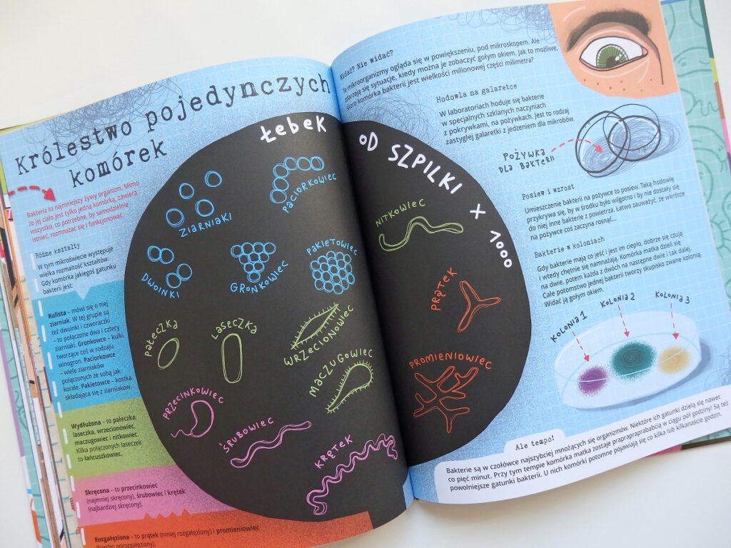 Wirus w koronie, bakteria w kapsule